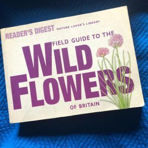 Wild Flowers UK Field Guide