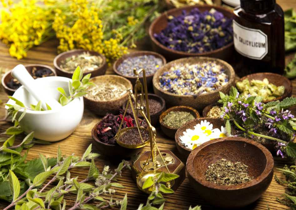 Magical Herbs - test image