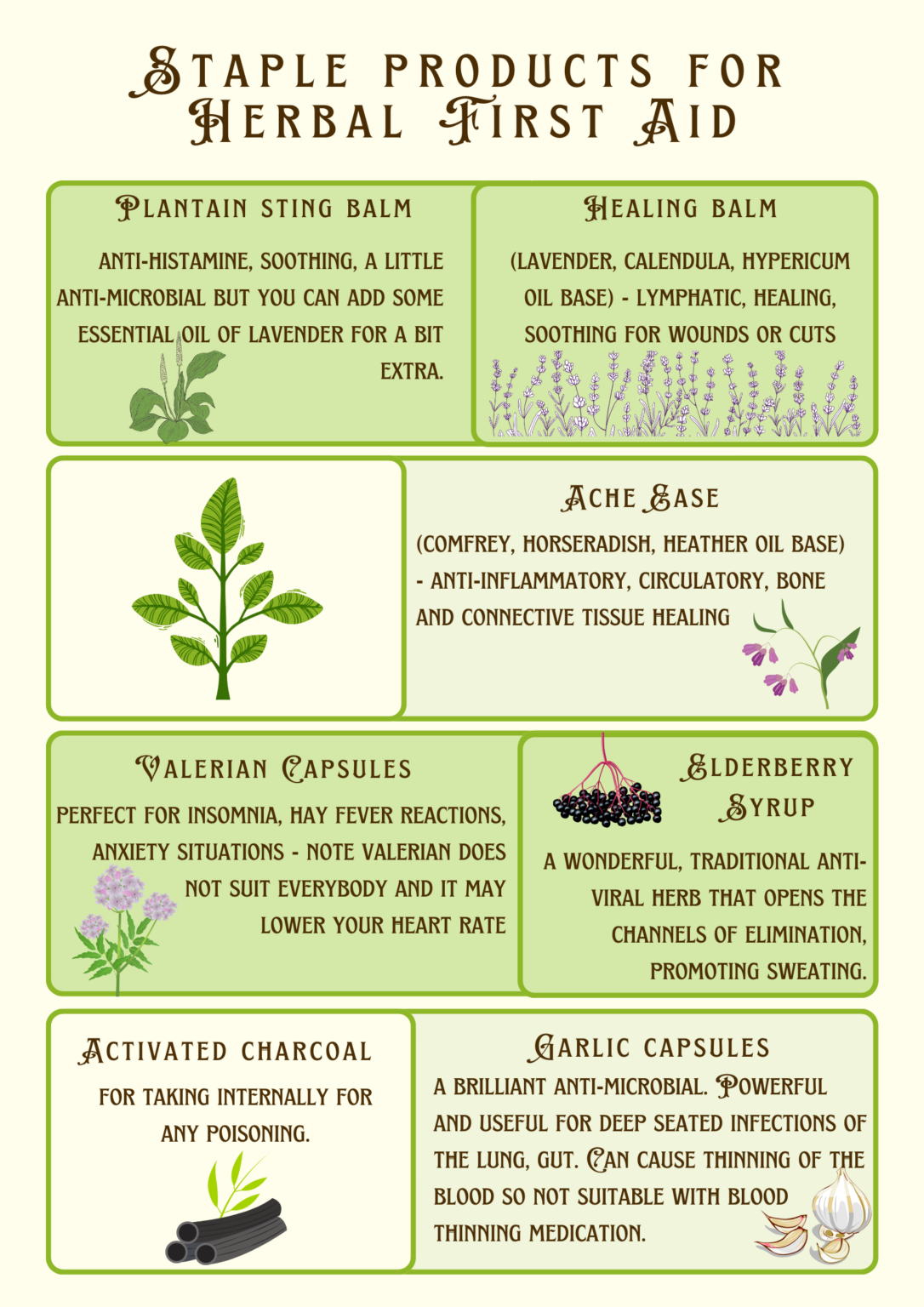 Herbal First Aid in the Home | Seed Sistas